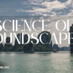 The Science of Soundscapes in Stress Management