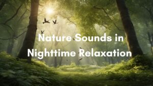 The Role of Nature Sounds in Nighttime Relaxation