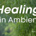 Healing Rain Ambience – Relaxing Instrumental Music for Café, Study & Focus